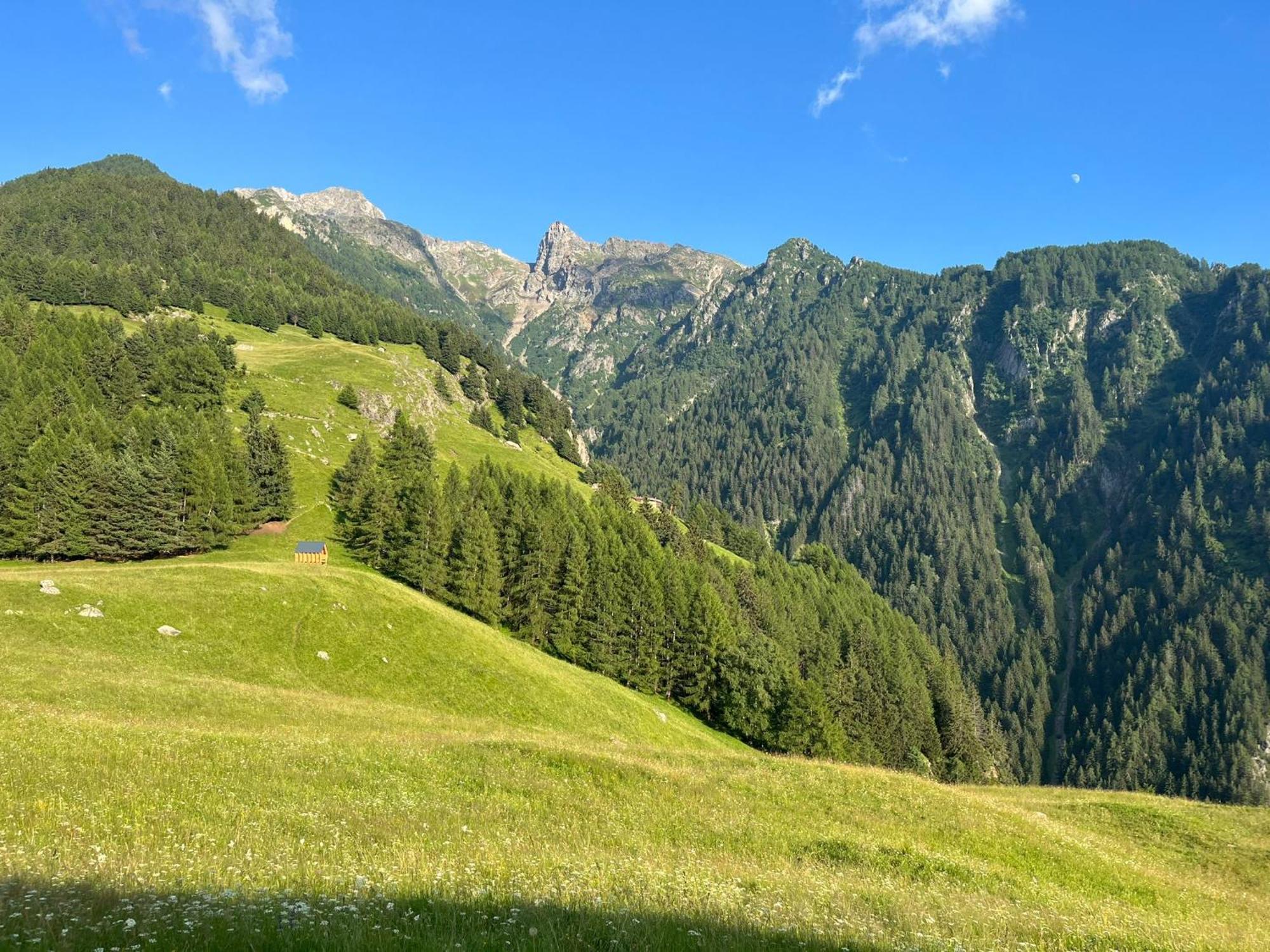 Il Maggiolino Mountain Apartment Sondalo